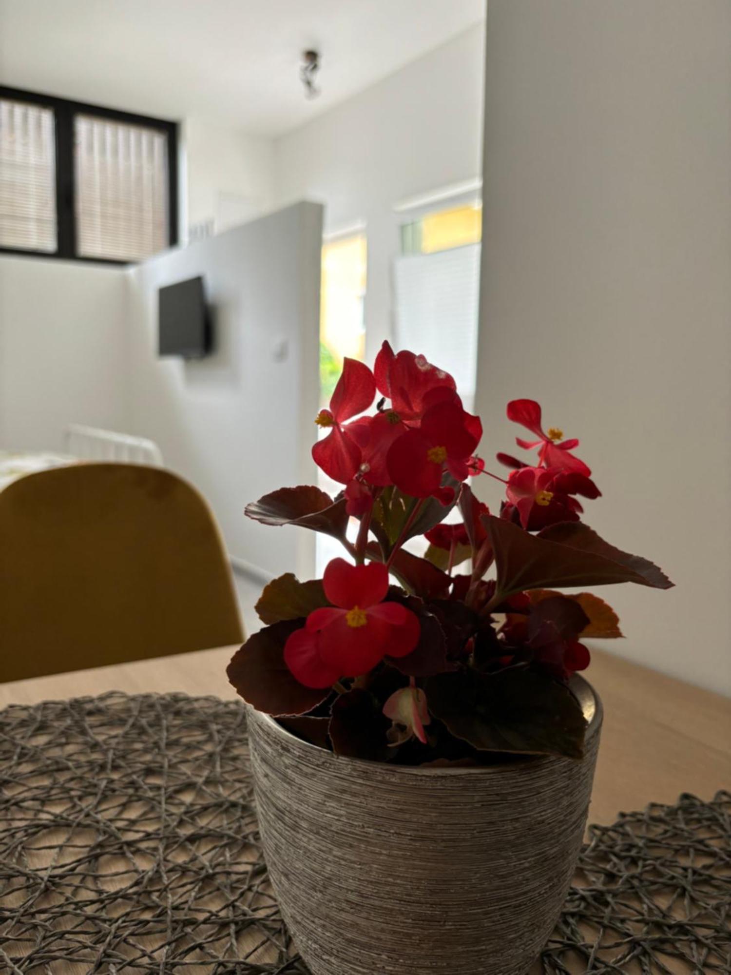 Apartment Jang Толмин Екстериор снимка